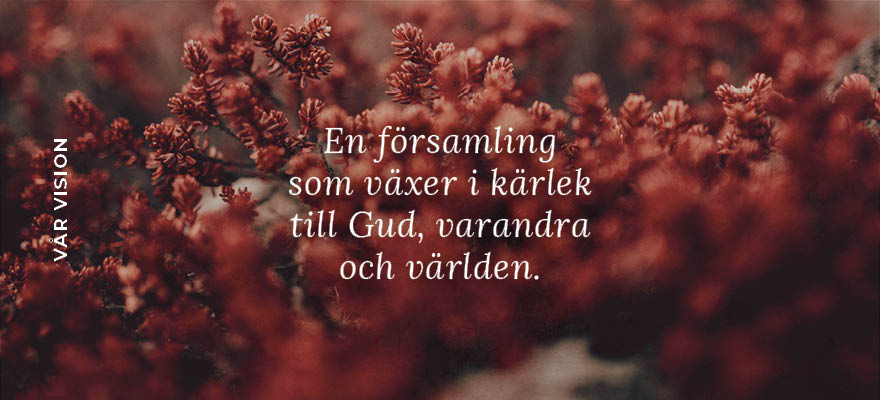 dummybild
